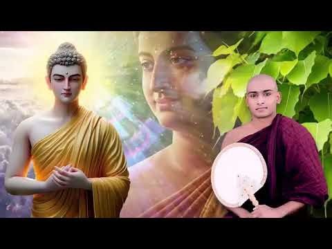 අපේ බුදුහමුදුරුවෝ🌸| කවිබණ| සම්බුදු හිමියන්|kavi bana (mathale sumangala himi.🙏🙏