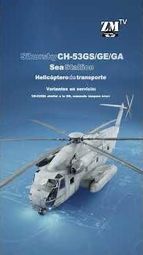 🇦🇷 🇩🇪 ZM in 60": These are the German CH-53G helicopters that interest the Argentine Armed Forces.
