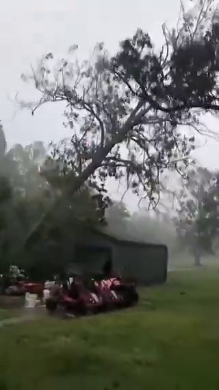 Here, watch some trees fall over