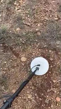 8 inch DOD Garrett Axiom compatible X-coil