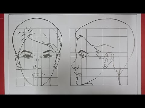 PROPORTIONS OF THE HUMAN HEAD OF A WOMAN VIEWED FROM THE FRONT AND IN PROFILE