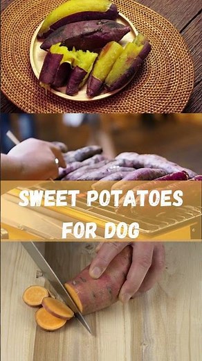 Healthy and Delicious: Sweet Potatoes for Your Furry Friend!
