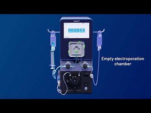 Understanding Flow Electroporation - MaxCyte Electroporation Process