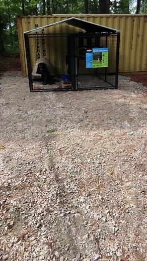 Insane canes kennel on TikTok