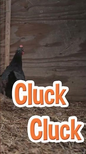 Sing Along With Farmer Blippi! #oldmacdonald #blippi #farm