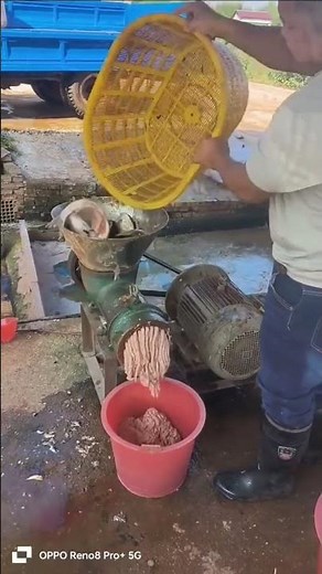 Fish deboning machine