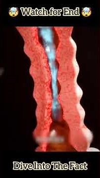 How inhaler works || An animated video