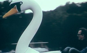 Lieblingsfarben und Tiere