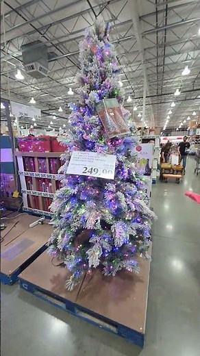 7.5' Pre-lit Glitter Flocked Micro LED with Twinkle Artificial Christmas Tree at Costco