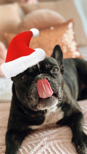 130K views · 1.2K reactions | Estos son TODOS los regalos de La Beba ❤️ | TV Ana Emilia | Facebook