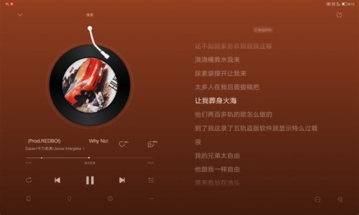 why not完整版无消音