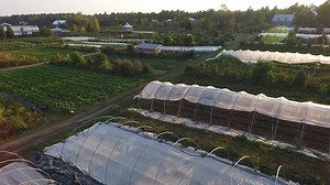 20K views · 187 reactions | Join farmers from all over the world to learn organic farming from mentor Jean-Martin Fortier. Our online program teaches you methods, tips, tools and insights to run farms that are ecological, human-scale and profitable! Learn more → → → https://themarketgardenersmasterclass.com/ | Market Gardener Institute | Facebook