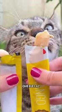 Consistência do petisco cremoso da Coolors