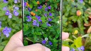 这可能是你见过的最火爆的网红手机了？做三星手机久了就会发现，note10 5g才是很多人心目中的安卓机皇！