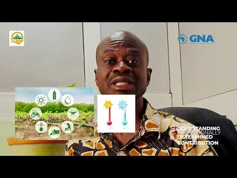 Nationally Determined Contributions (NDCs) explained