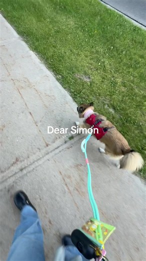 Thank You Letter to Simon and Isabel Klee — Rescue Dog Gratitude