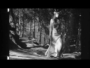 Son of the Velvet Rat - Captain's Daughter / 16mm /sw / monkey.