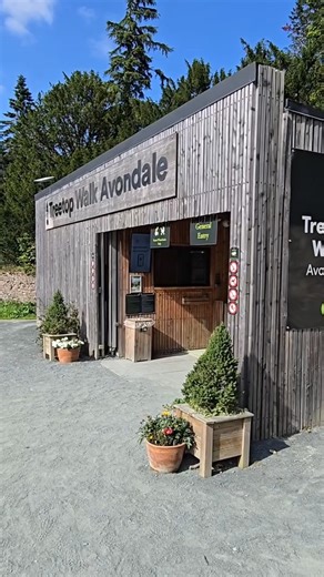 Ever wonder what it's like to wander through the treetops? 🌲 Take a trip to Beyond the Trees Avondale, where you'll find forest paths that lead to sky-high views 🍃 Have you visited before? Let us know in the comments! 🎥 newmemyselfandi [IG] Visit Wicklow Beyond the Trees Avondale #KeepDiscovering | Discover Ireland