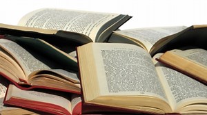 Summer Reading Picks