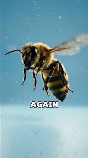 What Happens If a Bee Stings Another Bee?