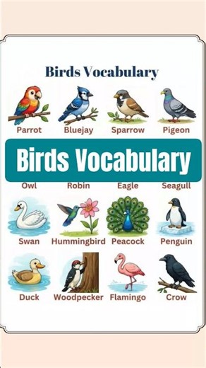 🔴 Birds Vocabulary in English | Common Bird Names You Should Know