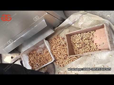 Hazelnut Cracking Shelling Machine Processing Equipment Plant