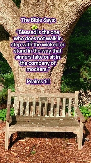 Do not sit in the seat of mockers.