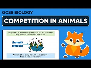 Competition in Animals - GCSE Biology