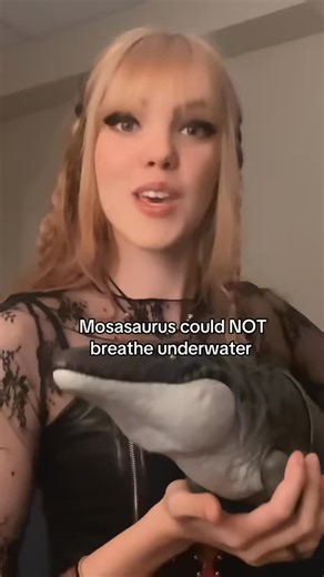 Kat Corrick on Instagram: "Mosasaurus could NOT breathe underwater!! #mosasaurus #facts #dinosaurfacts #dinonerd #dinosaur"