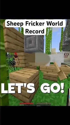 Sheep Fricker World Record