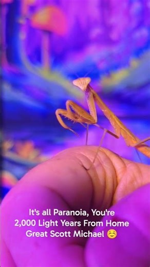 It's All Paranoia, You're 2,000 Light Years From Home (#2, 51 days old) Great Scott! Michael 😀