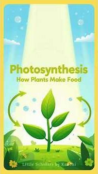 Photosynthesis Made Simple! #photosynthesis #scienceforkids #plantscience #stemlearning