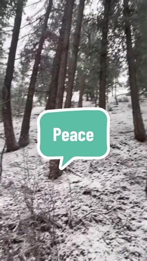 Exploring Colorado's Stunning Rocky Mountain Trails