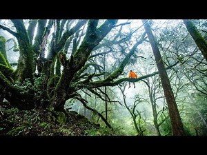 10 MINUTES- KRISHNA FLUTE MEDITATION MUSIC. MEDITATION & RELAXATION MUSIC.