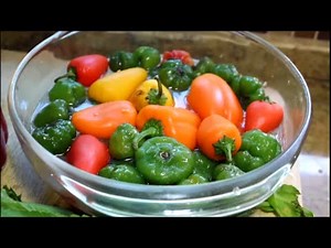 How to Make Puerto Rican Sofrito Recipe [Episode 011]