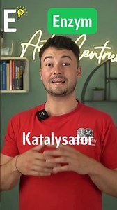 Was ist ein E wie Enzym??