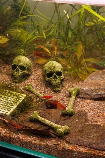 Skeleton Decor for Aquarium, Fish and Shrimp, Horror Theme. - Etsy