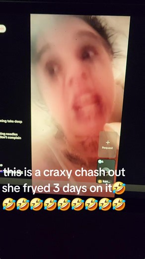 dingo (@dingodownunder87)’s videos with original sound - dingo