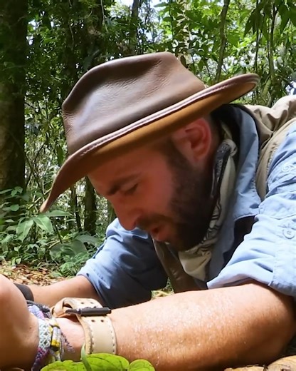 Stung by an EXECUTIONER Wasp! | Coyote Peterson