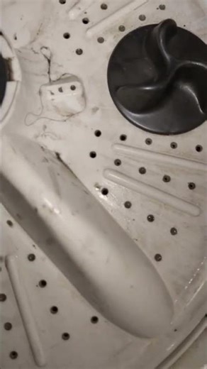 washing machine pulsator problem