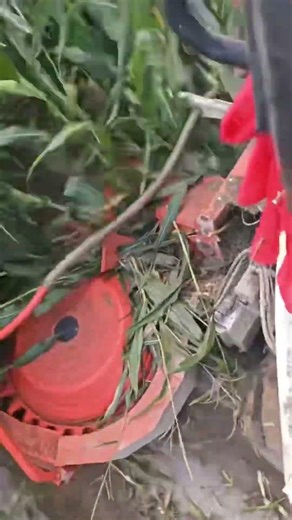 Maximize your silage harvest with precision-crafted cutters#madeinchinachallenge #factorytour #agri