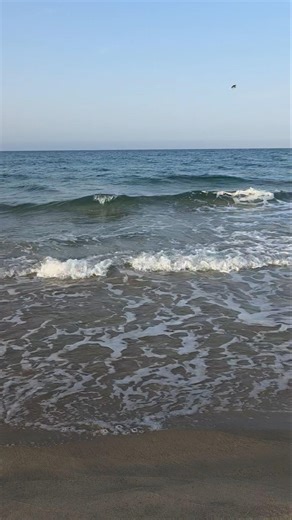 동해바다 모래사장 모래위 수 많은 발 직구가 동해바다 파도소리 자연음 현장음 그대로 20260419_180302