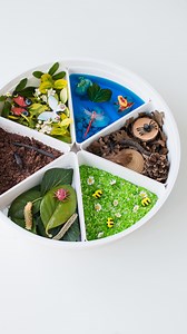 72K views · 256 reactions | I don’t know who had more fun here….I...