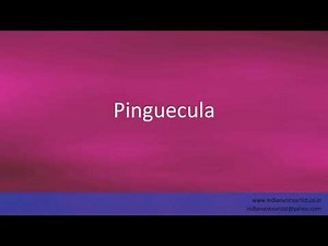 Pronunciation of the word(s) "Pinguecula / Pinguicula".