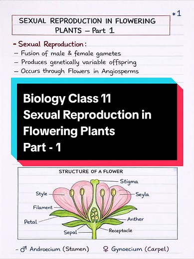Understanding Sexual Reproduction in Flowering Plants
