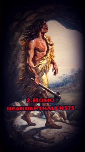 Humans… are not one species. There were THREE… and they were dangerous.. #ancienthumans