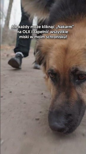 Urzekła Cię ta historia? Możesz działać już teraz! 🐾