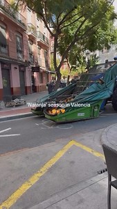 In #valencia , #spain , many streets are lined with orange trees that produce bitter, inedible fruit meant for decoration. To manage the excess fruit and reduce street waste, a specialized tractor with large, wing-like catchers shakes the trees, collecting the fallen oranges efficiently. 🎥 @hotspotvalencia All rights reserved to the corresponding author #architecture #urbanism | World architecture inspiration