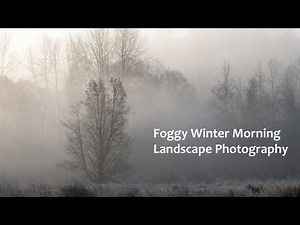 Trees, Fog, and Landscape Photography! Magical winter morning conditions