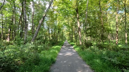 Pedal past ordinary. In Ulster County, every mile reveals something new — mountain vistas, quiet lakes, and winding roads through the heart of the Hudson Valley. This is bicycling at its purest: nature, freedom, and champagne gravel calling your name. 🎥 Watch the full ride and discover how your Ulster County adventure is just a few pedal strokes away. #BikeUlster #HudsonValleyByBike #ExploreUlster #ILoveNY #UlsterCounty | Ulster County Tourism, NY